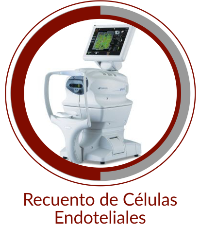 Recuento